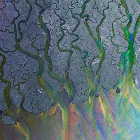 Sleeve of An Awesome Wave by alt-J