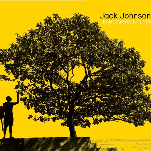 Sleeve of In Between Dreams by Jack Johnson
